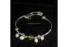 APG 247 Gelang BR 23 STX
