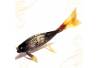 KTR 217 Hiasan tanduk kerbau Ikan Arwana kecil 7x29cm (19) IHD