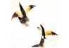 KTR 212 Hiasan tanduk kerbau Burung Hitam 4x25cm (21) IHD