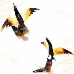 KTR 212 Hiasan tanduk kerbau Burung Hitam 4x25cm (21) IHD