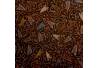 BAP 847 Batik Jogja Tulis Motif Daun keladi mawur riningan RTI