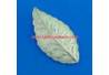 Bros Trap Sepuh perak Bros daun besar 10x8 cm (12) WDI