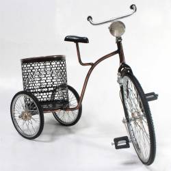 Sepeda Keranjang SYN